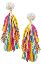 Load image into Gallery viewer, Pompom Ball Seed Tassel Earring
