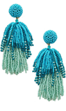 Load image into Gallery viewer, Pompom Ball Seed Tassel Earring
