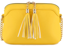 Load image into Gallery viewer, Tassel Small Crossbody Bag with Chain Strap
