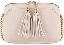 Load image into Gallery viewer, Tassel Small Crossbody Bag with Chain Strap
