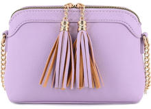 Load image into Gallery viewer, Tassel Small Crossbody Bag with Chain Strap
